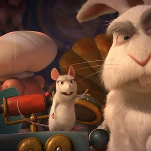 Fotoğraf Büyüler Evi: Sihirbaz Kedi