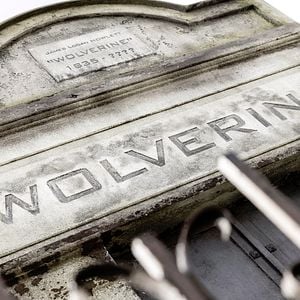 Fotoğraf Wolverine