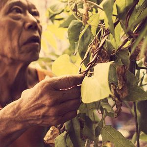 Fotoğraf Genç Kız ve Boksör