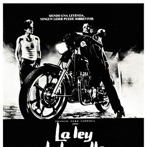 Fotoğraf Siyam Balığı