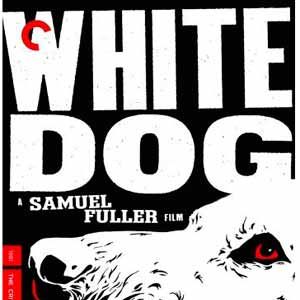 Fotoğraf Beyaz Köpek