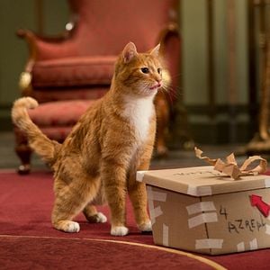 Fotoğraf Şirinler 2