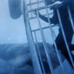 Fotoğraf Jaws