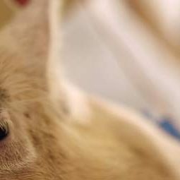 Fotoğraf Gizli Kimya