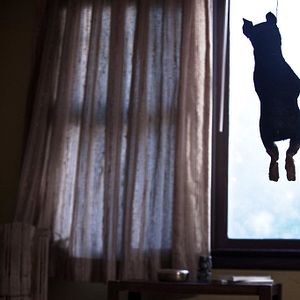 Fotoğraf Revenge for Jolly!