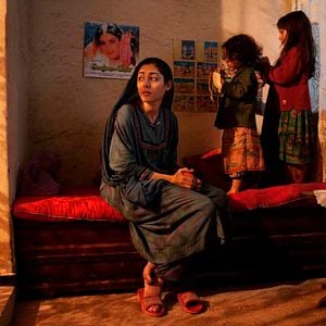 Fotoğraf The Patience Stone