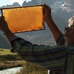 Fotoğraf Arı Yetiştiricisi