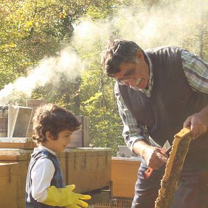 Fotoğraf Arı Yetiştiricisi