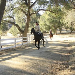 Fotoğraf Madeleine Stowe
