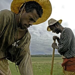 Fotoğraf O Tempo e o Vento