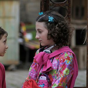 Fotoğraf Modrý tygr