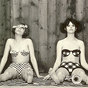 Fotoğraf Papatyalar