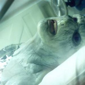 Fotoğraf Crawlspace