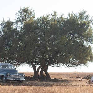 Fotoğraf Mandela: Özgürlüğe Giden Uzun Yol