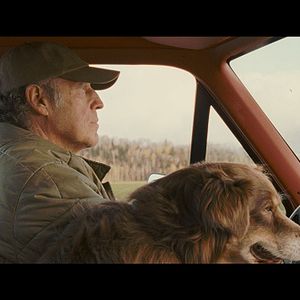 Fotoğraf Le Démantèlement