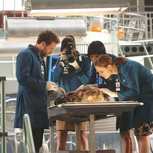 Fotoğraf T.J. Thyne