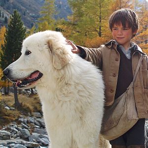 Fotoğraf Félix Bossuet