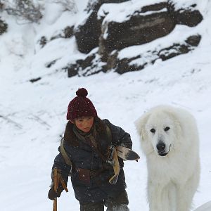 Fotoğraf Félix Bossuet