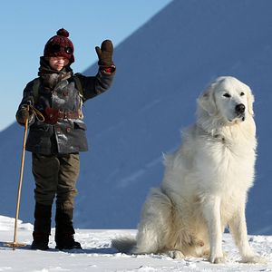 Fotoğraf Félix Bossuet
