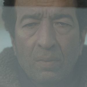 Fotoğraf Baş Belası