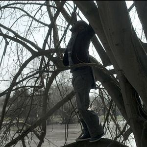 Fotoğraf Baş Belası