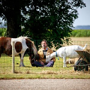 Fotoğraf Matterhorn