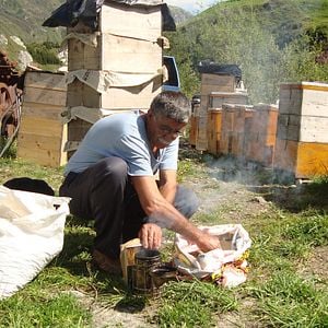 Fotoğraf Arı Yetiştiricisi