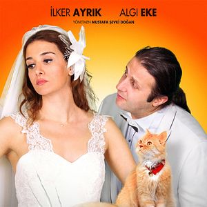 Fotoğraf Kedi Özledi