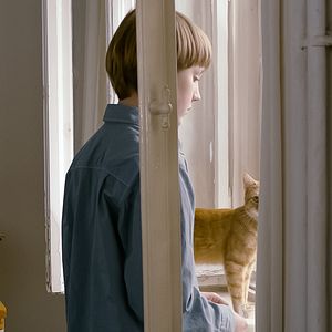 Fotoğraf Tuhaf Kedicik