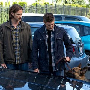 Fotoğraf Jared Padalecki