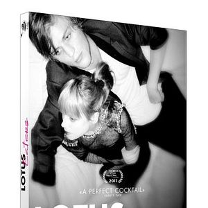 Fotoğraf Kabak Çiçekleri