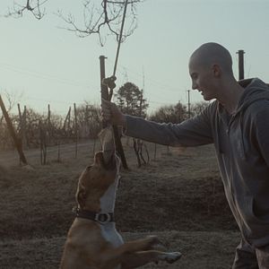 Fotoğraf Köpeğim Killer