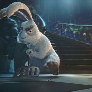 Fotoğraf Büyüler Evi: Sihirbaz Kedi