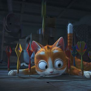 Fotoğraf Büyüler Evi: Sihirbaz Kedi