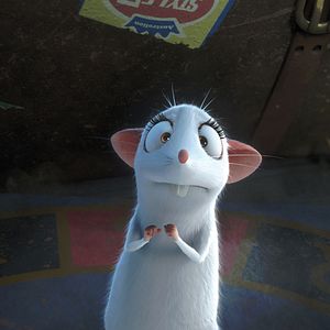 Fotoğraf Büyüler Evi: Sihirbaz Kedi