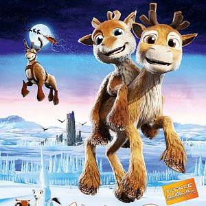 Fotoğraf Niko 2: Küçük Kardeş, Tatlı Bela