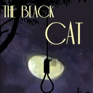 Fotoğraf Le chat noir