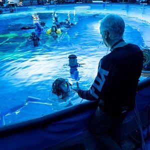 Fotoğraf Avatar: Suyun Yolu