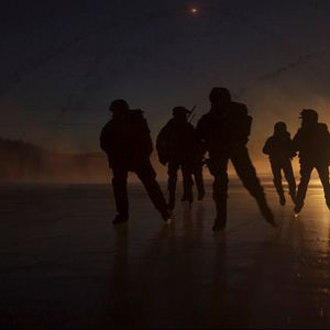 Fotoğraf Kara Yengeç