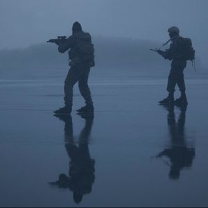 Fotoğraf Kara Yengeç