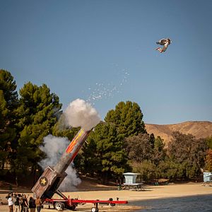 Fotoğraf jackass forever