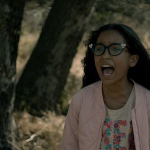 Fotoğraf The Clearing