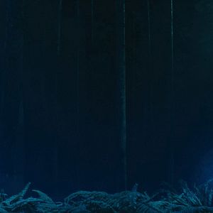 Fotoğraf Ryan Reynolds