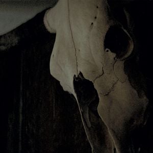 Fotoğraf The Dark and the Wicked