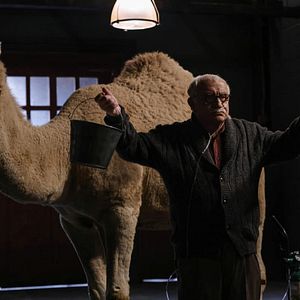 Fotoğraf Teddy Coluca