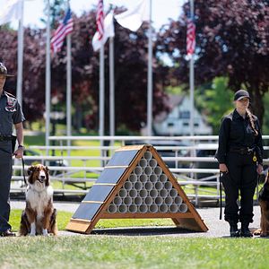 Fotoğraf Grant Gustin