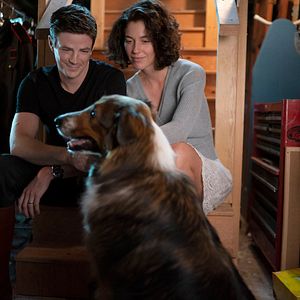 Fotoğraf Grant Gustin