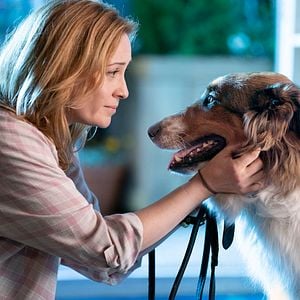 Fotoğraf Camille Sullivan