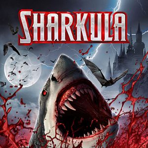 Fotoğraf Sharkula