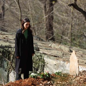 Fotoğraf Yalnız Kurt